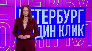 В один клик: на велосипедах — по воде, аудиогид по храмам, кабаны в гостях у бобров и котик-рыбнадзор — о чём рассказывали жители города в соцсетях
