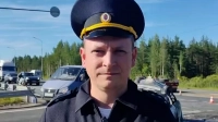 Фура не пропустила «Ауди» на трассе Петербург — Псков, водитель легковушки сгорел