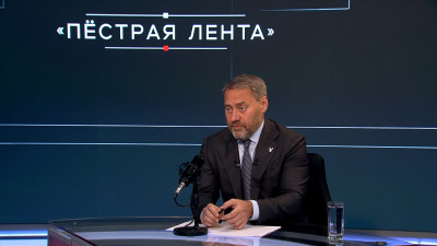 Александр Бельский о проблеме сталкинга: Федеральное законодательство должно защитить жителей нашей страны