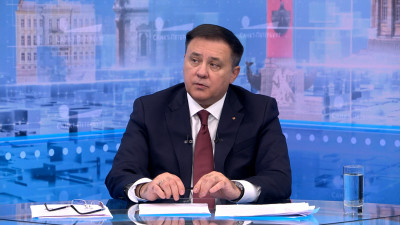 В Петербурге построят два государственных приюта для животных