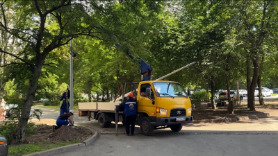 В Сестрорецке до конца октября станет в три раза больше света