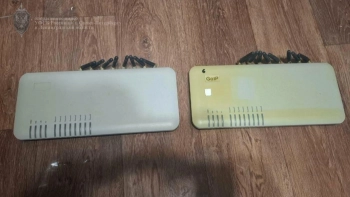 В Петербурге ФСБ задержала мужчину за помощь мошенникам через SIM-боксы