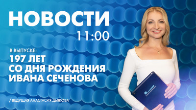 Новости Петербурга к 11:00