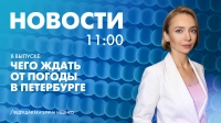 Новости Петербурга к 11:00