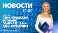 Новости Петербурга к 13:00