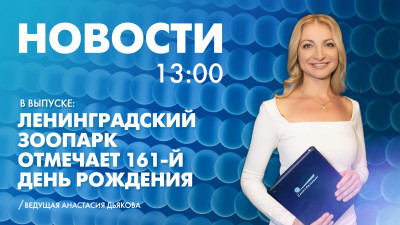 Новости Петербурга к 13:00