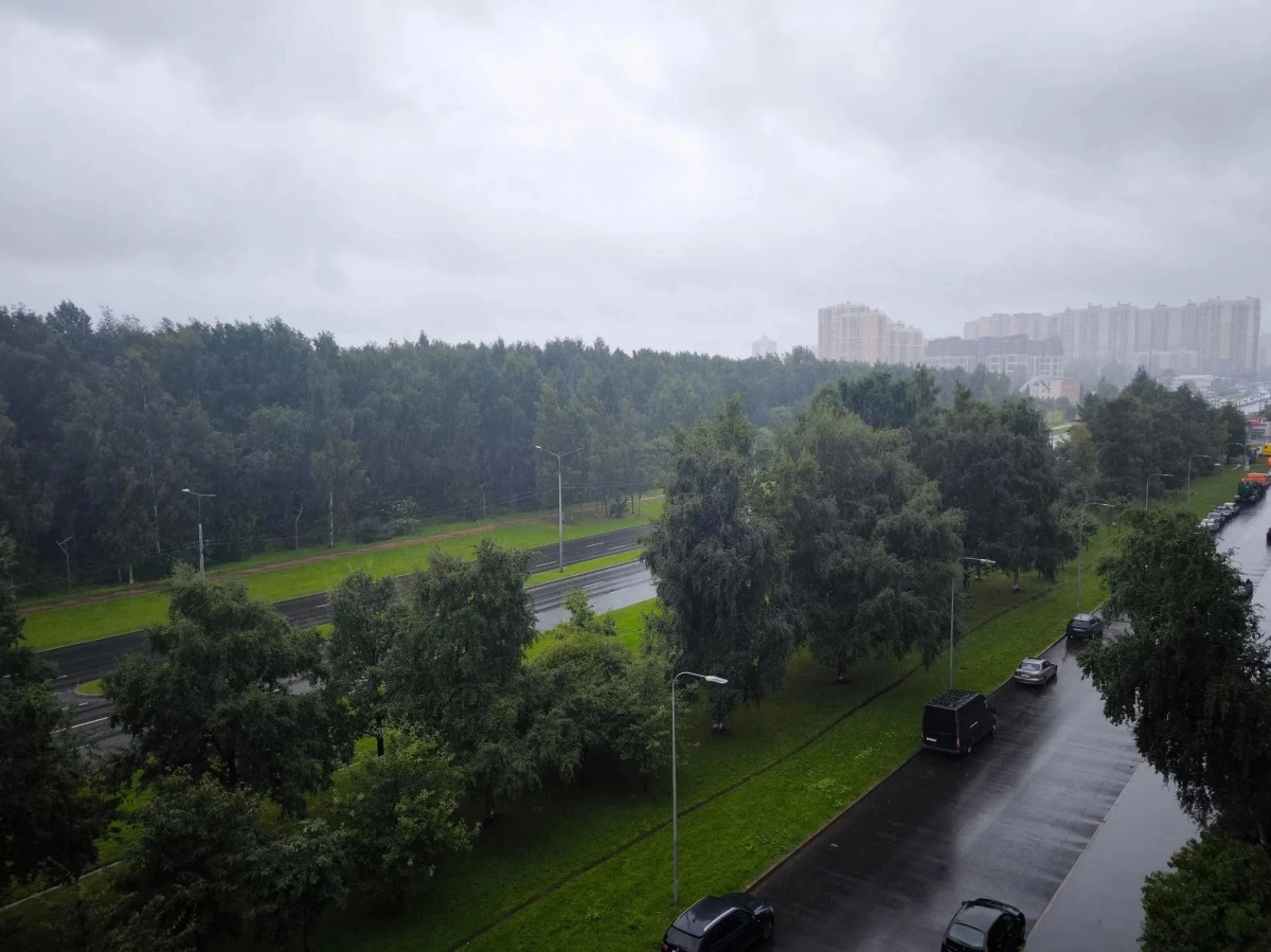 Ливни, ураган и повышенная готовность транспорта: как Петербург встретил циклон - tvspb.ru