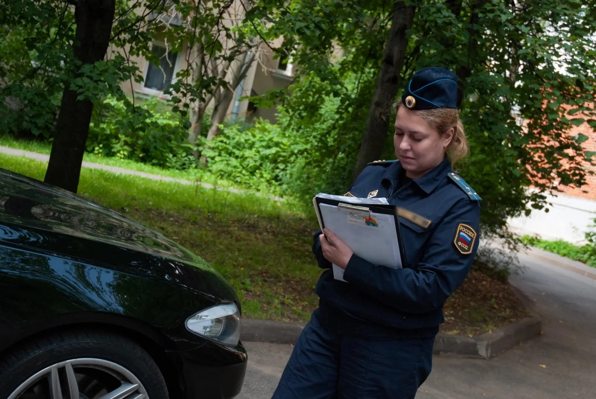В Петербурге стало меньше должников, оштрафованных за парковку на газонах - tvspb.ru