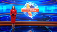 Облачно с прояснениями и до +22 — какая погода ожидается в Петербурге 7 августа