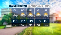 Зонты станут главным аксессуаром последней недели августа в городе на Неве