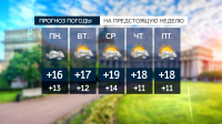 Зонты станут главным аксессуаром последней недели августа в городе на Неве