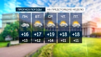 Зонты станут главным аксессуаром последней недели августа в городе на Неве