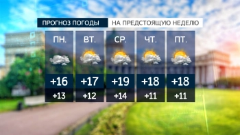 Зонты станут главным аксессуаром последней недели августа в городе на Неве