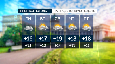 Зонты станут главным аксессуаром последней недели августа в городе на Неве
