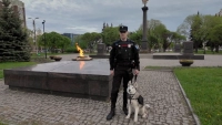 «Не ради денег, а ради спокойствия»: 15 лет народной дружине «Патриот» в Петербурге