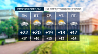 Синоптики пообещали Петербургу облачную неделю с умеренным дождем