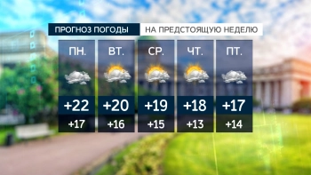 Синоптики пообещали Петербургу облачную неделю с умеренным дождем