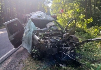 Многодетные родители погибли в крупной аварии в Воронежской области