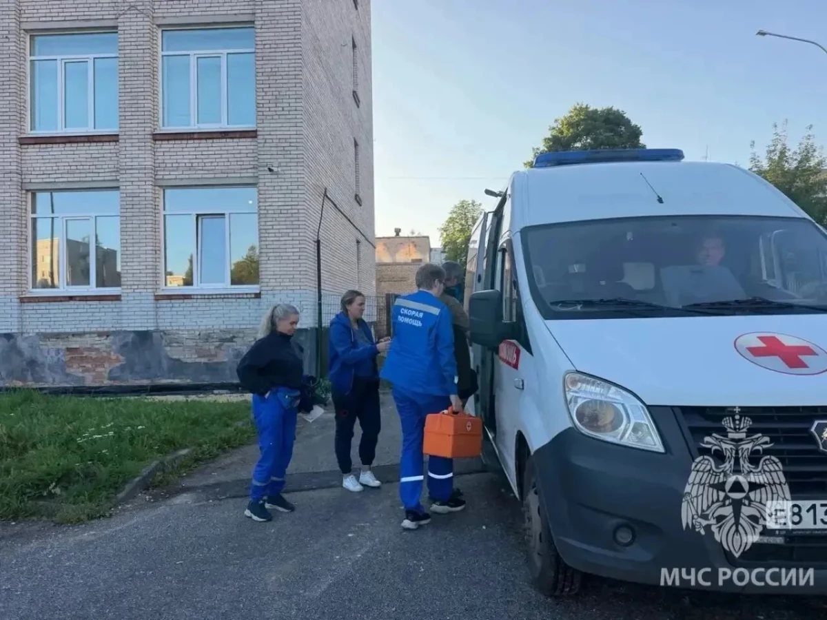 Мужчина с переломом дождался вертолёта МЧС на острове Мощный - tvspb.ru