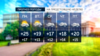 Погода в Петербурге: вторая неделя августа порадует теплом