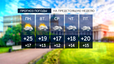 Погода в Петербурге: вторая неделя августа порадует теплом