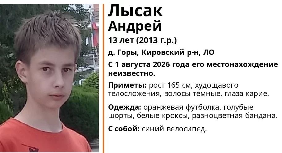 13-летнего мальчика с инвалидностью по слуху ищут в Ленобласти - tvspb.ru