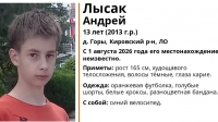 13-летнего мальчика с инвалидностью по слуху ищут в Ленобласти