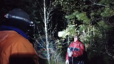 Спасатели ночью искали в лесу Ленобласти заблудившуюся женщину
