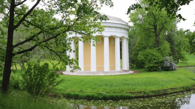 Павловский парк лишился более 2,5 тысячи деревьев после суперциклона
