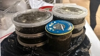 Петербуржца будут судить за незаконный оборот свыше 6,5 кг черной икры