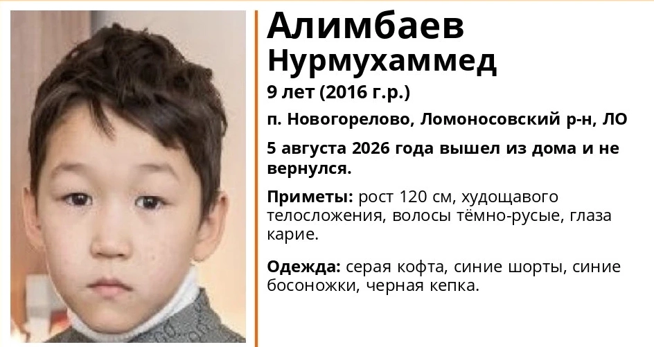 В Новогорелово ищут девятилетнего мальчика, пропавшего 5 августа - tvspb.ru