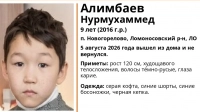 В Новогорелово ищут девятилетнего мальчика, пропавшего 5 августа