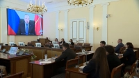 23 тысячи гектаров «зелёных лёгких»: в Смольном утвердили Лесной план Петербурга