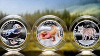 ЦБ выпустит памятные монеты с лесной кошкой и очковой гагой
