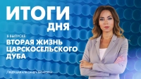 Новости Петербурга: Итоги дня