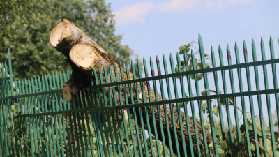 В Павловском парке продолжают устранять последствия суперциклона «Бернадетт»