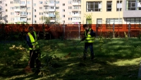 300 петербургским школьникам лето принесло первый заработок – вместо пляжей и гаджетов они убирали дворы