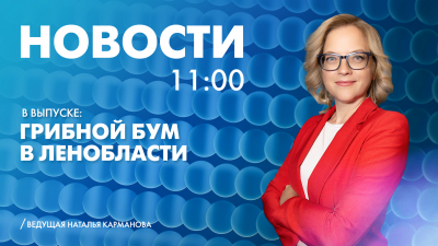 Новости Петербурга к 11:00