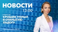Новости Петербурга к 13:00