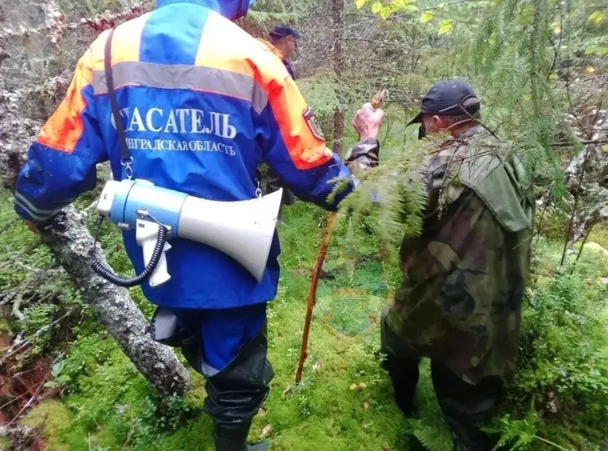 За сутки спасатели Ленобласти шесть раз выезжали на поиски людей в лесах - tvspb.ru