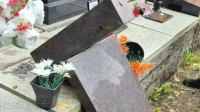 Опрокинул надгробие «ради спасения»: росгвардейцы задержали вандала на Серафимовском кладбище
