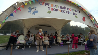 Чем удивит Самый большой семейный фестиваль в парке 300-летия Петербурга