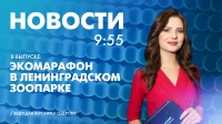 Новости Петербурга к 9:55