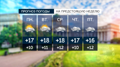 Неделя без солнца – дождливая погода ждет Петербург на следующей неделе