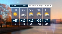 Днем 27 сентября в Петербурге ожидается +15 градусов