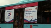 Не только в школах: как петербуржцы голосуют в Ленобласти