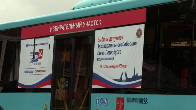 Не только в школах: как петербуржцы голосуют в Ленобласти