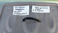 Короб с убитыми птицами подбросили к ТЦ в центре Петербурга