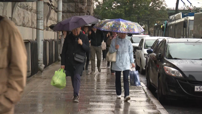 Дождь до вечера: в Петербурге выпала треть месячной нормы осадков