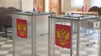 Петербург готовится к выборам в особом режиме: три рубежа охраны, 2000 наблюдателей и участки в Мариуполе